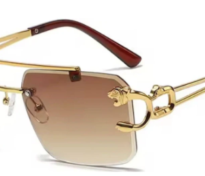 RS Vision Classic Premium Sunglasses for man
