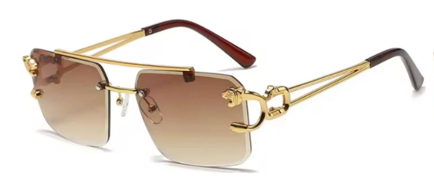 RS Vision Classic Premium Sunglasses for man