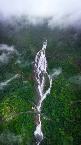 Most Beautiful Waterfalls in India surrounded by lush green forests and misty mountains during the monsoon season.