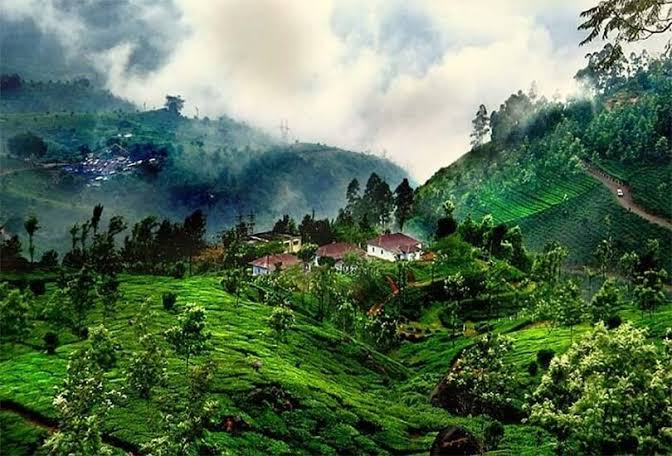 "Best Places to Visit in India – Scenic tea plantations and mist-covered hills in Munnar, Kerala."