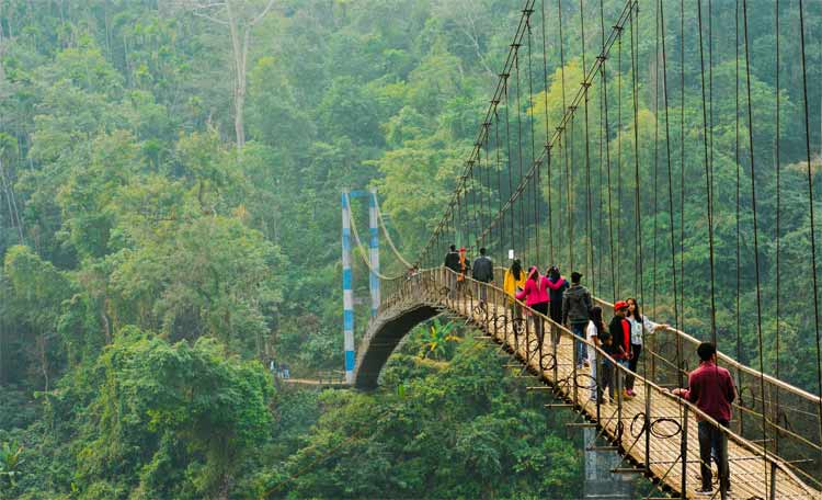 "Best Places to Visit in India – Tourists crossing the Double Decker Living Root Bridge in Meghalaya surrounded by lush green forests."